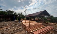 Polda Riau Sita Ratusan Kayu Olahan Ilegal di Sawmil Kampar