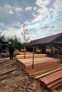 Polda Riau Sita Ratusan Kayu Olahan Ilegal di Sawmil Kampar