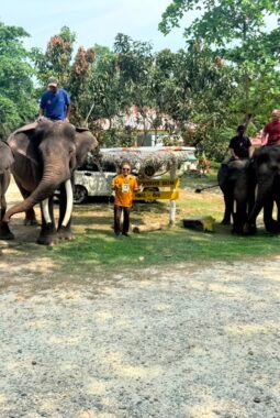 OPA GAUL Kunjungi Tempat Pelatihan Gajah di Minas Siak